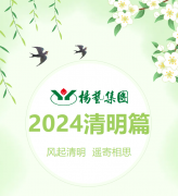 风起清明 遥寄相思|银娱优越会717集团?2024清明篇