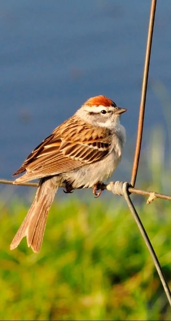 银娱优厚会717(中国)股份有限公司