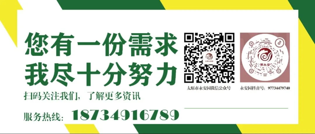 银娱优厚会717(中国)股份有限公司