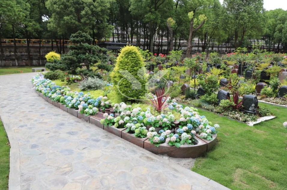 银娱优厚会717(中国)股份有限公司