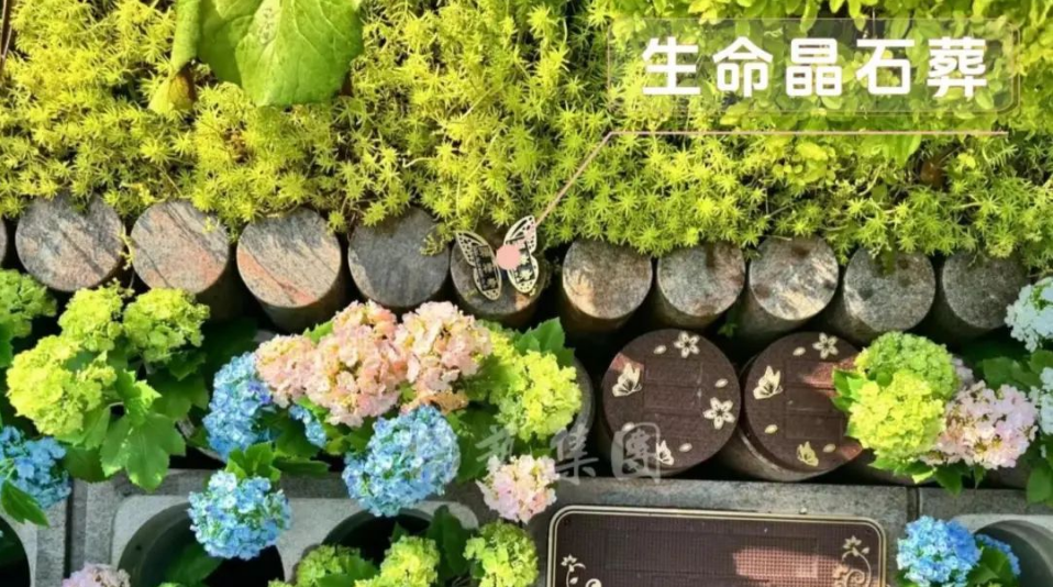 银娱优厚会717(中国)股份有限公司