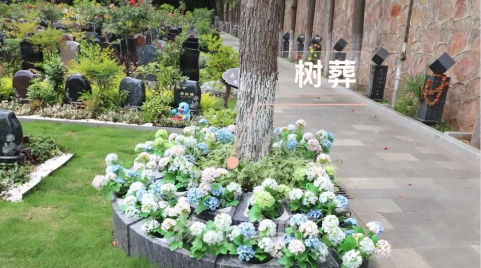 银娱优厚会717(中国)股份有限公司