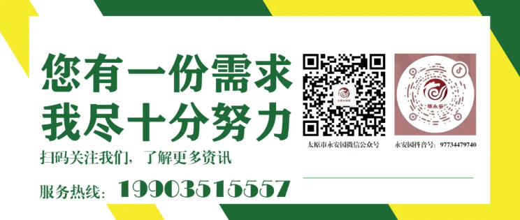 银娱优厚会717(中国)股份有限公司