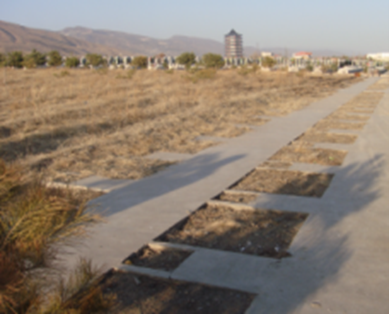 银娱优厚会717(中国)股份有限公司