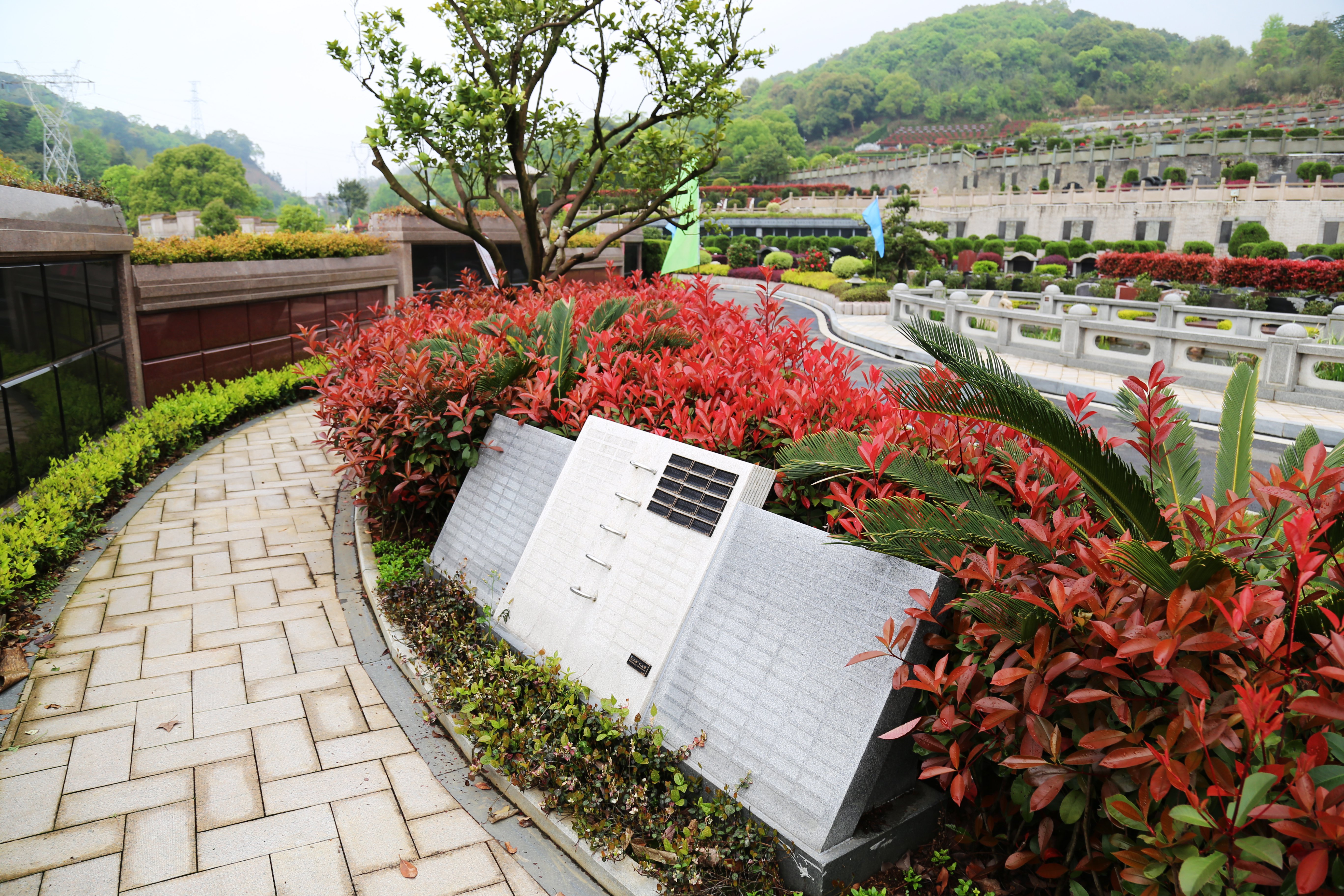 银娱优厚会717(中国)股份有限公司