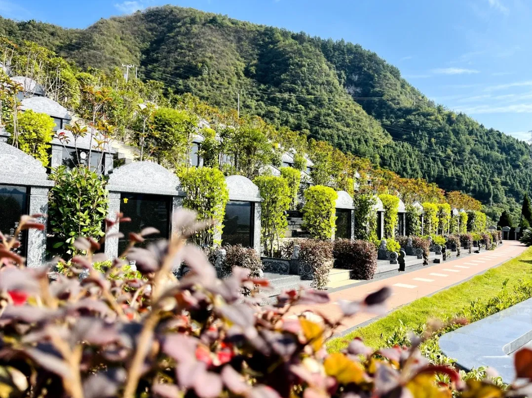 银娱优厚会717(中国)股份有限公司