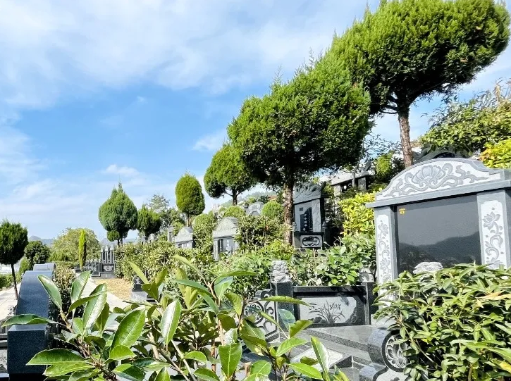 银娱优厚会717(中国)股份有限公司