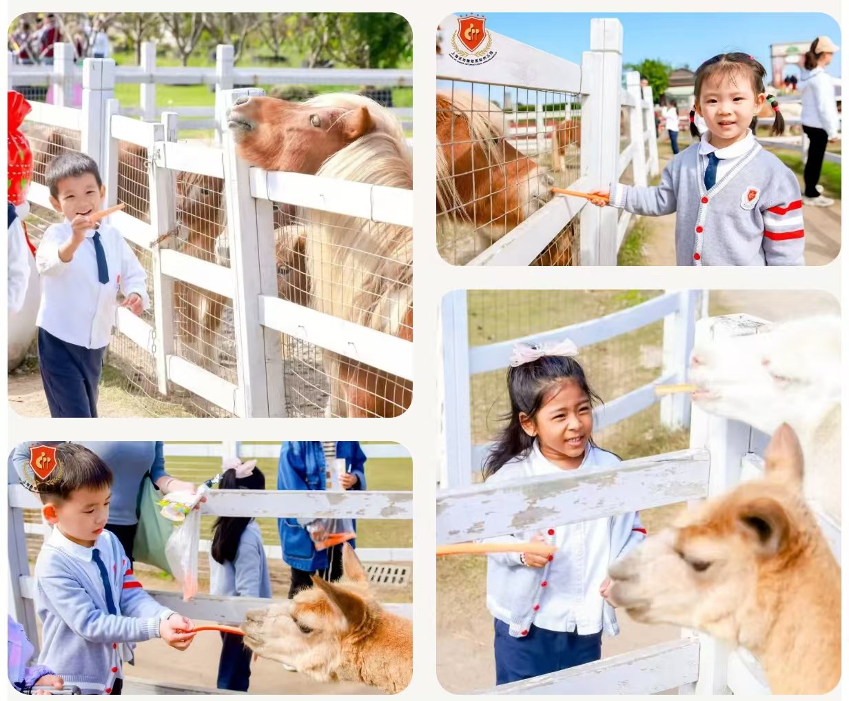 银娱优厚会717(中国)股份有限公司