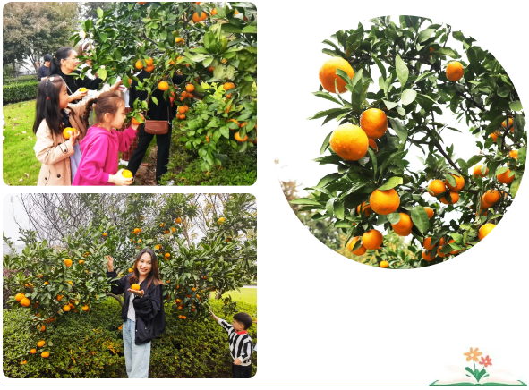 银娱优厚会717(中国)股份有限公司