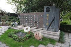 致敬“安然卫士”，铭刻“刑警之魂”