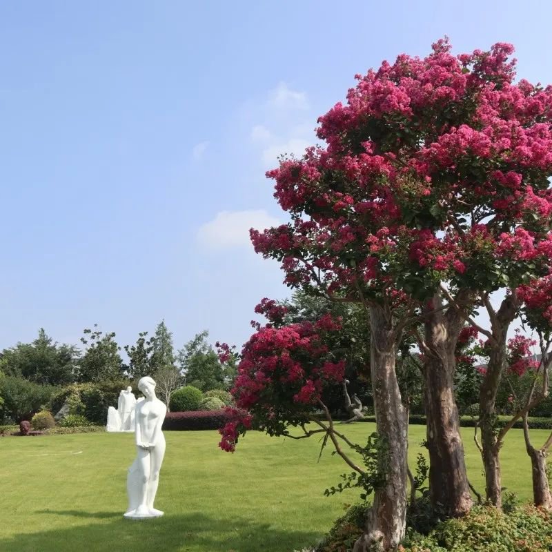 银娱优厚会717(中国)股份有限公司