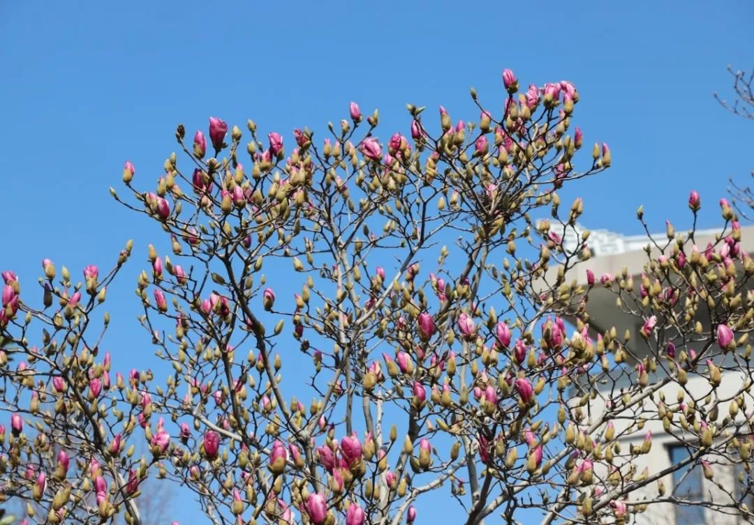 银娱优厚会717(中国)股份有限公司