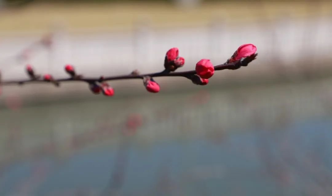 银娱优厚会717(中国)股份有限公司