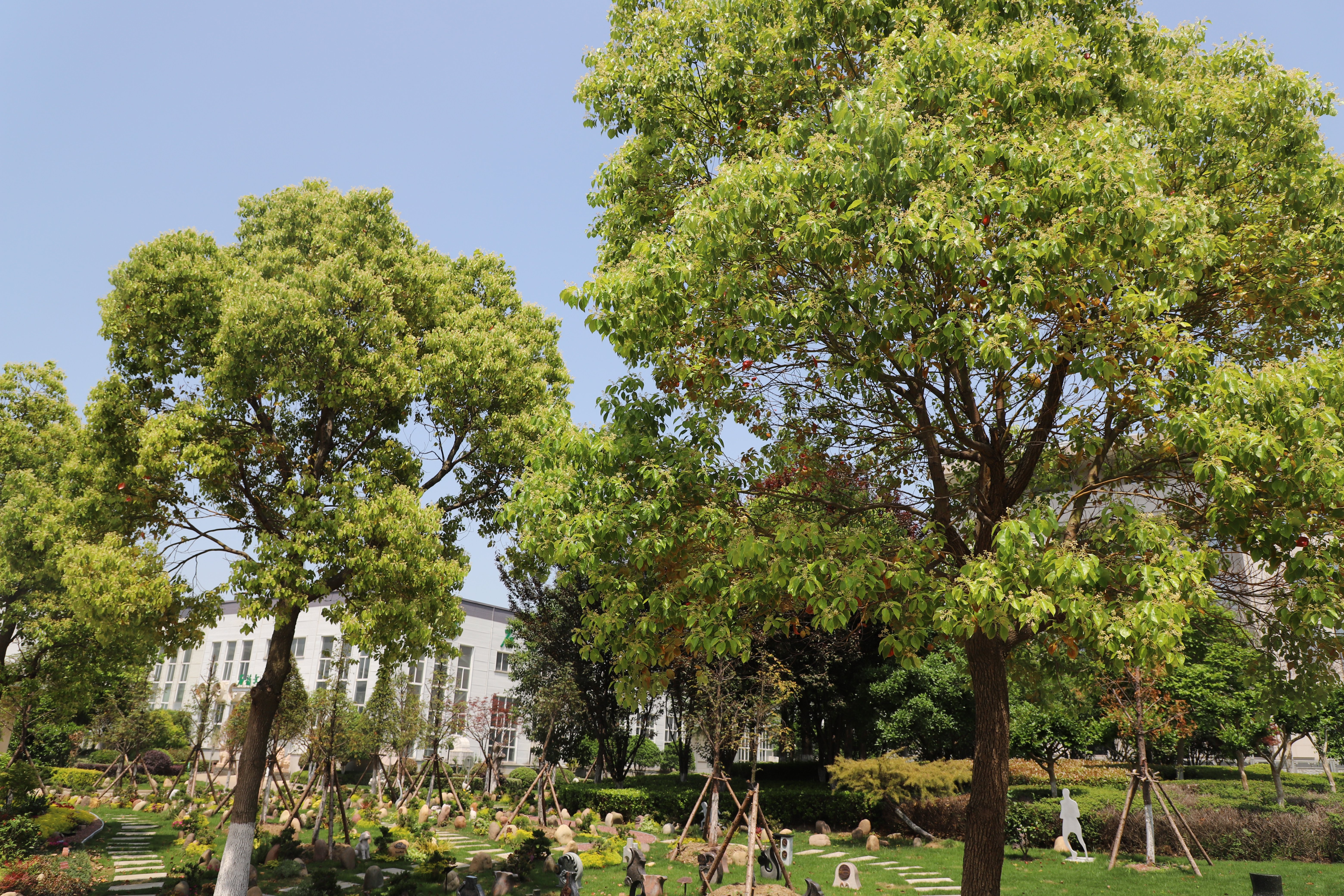 银娱优厚会717(中国)股份有限公司