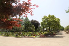 让握别成为另一种成长