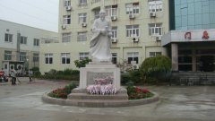 石雕匠心，镌刻医者风华