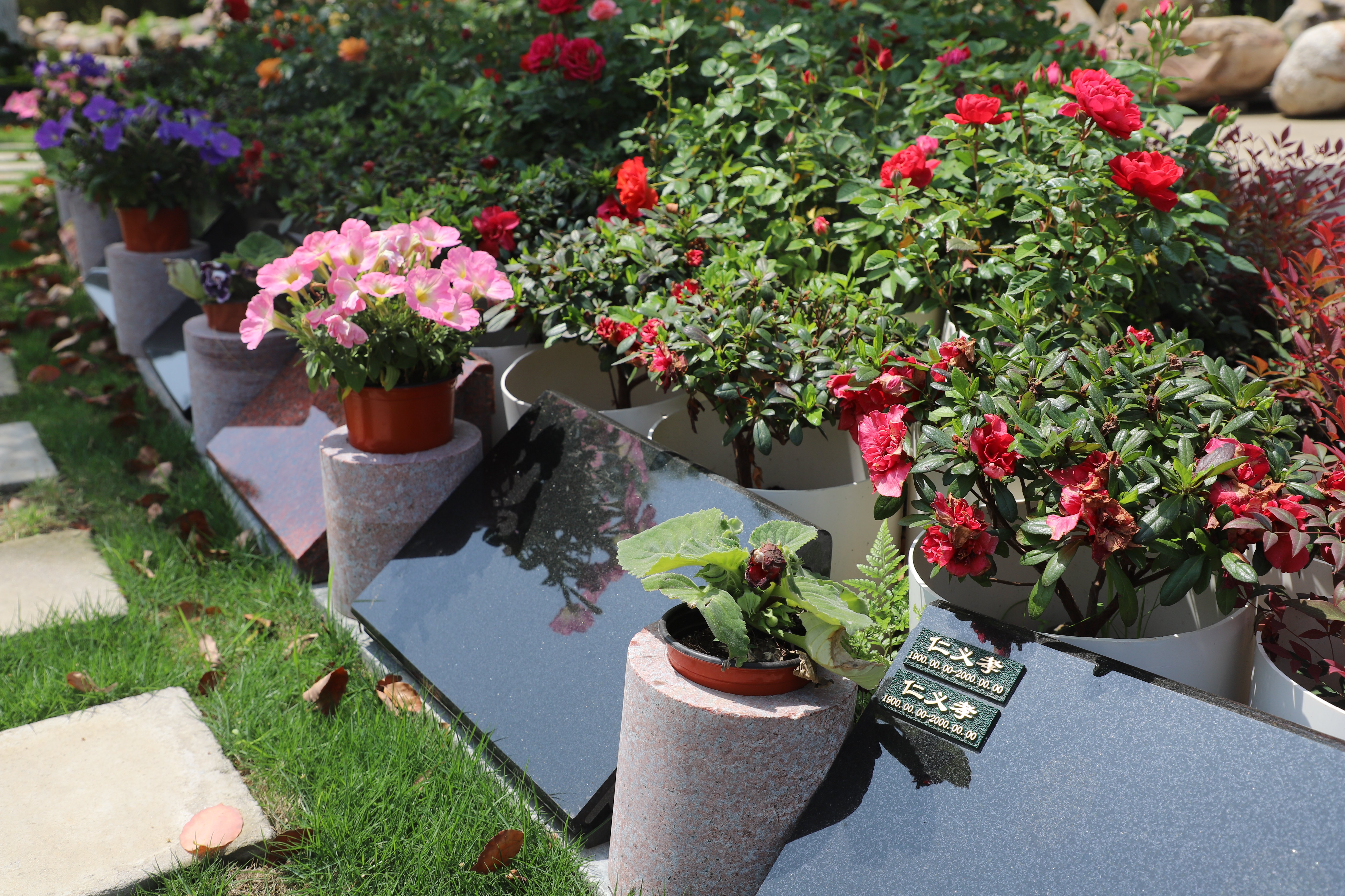 银娱优厚会717(中国)股份有限公司