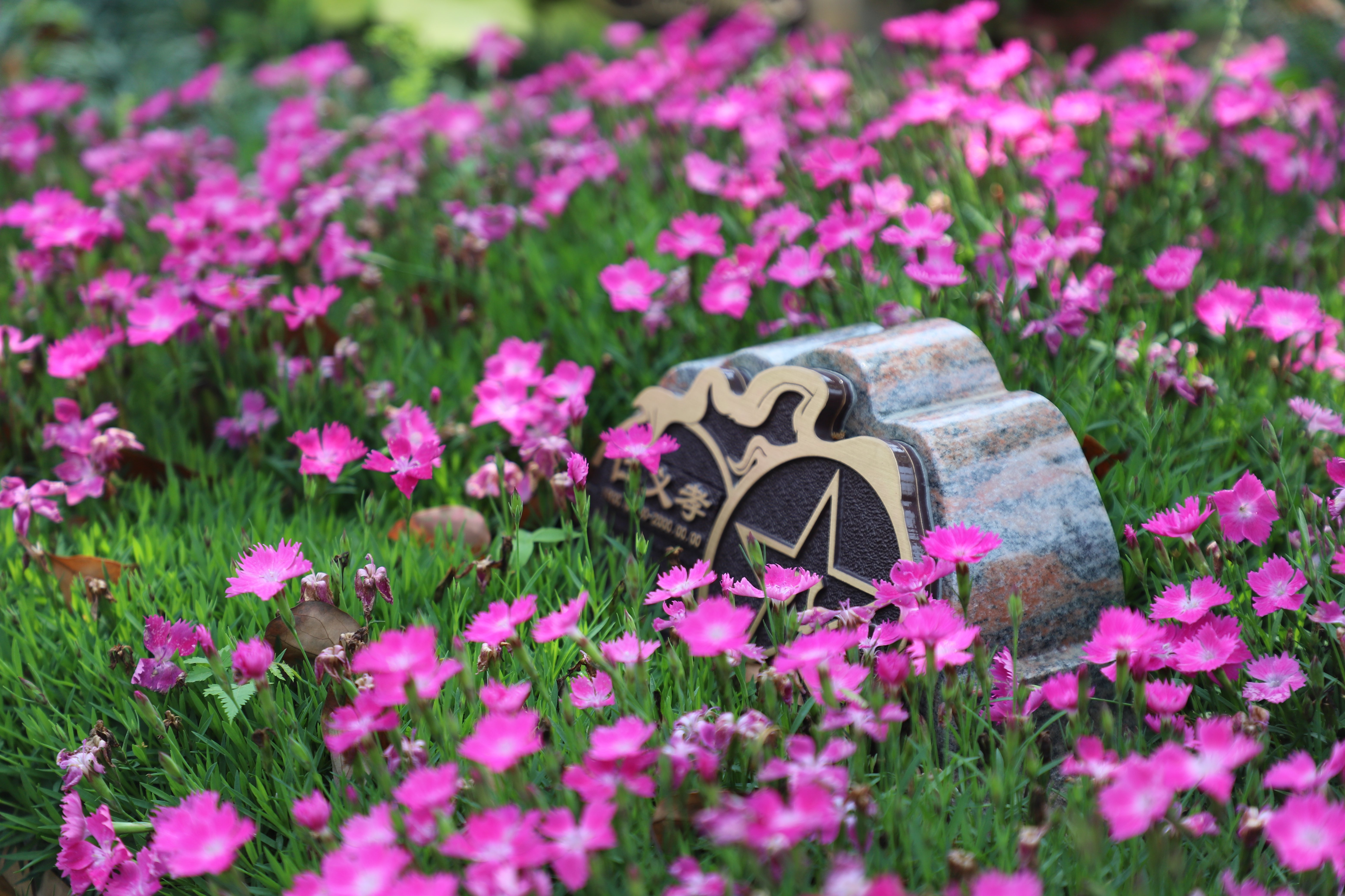 银娱优厚会717(中国)股份有限公司