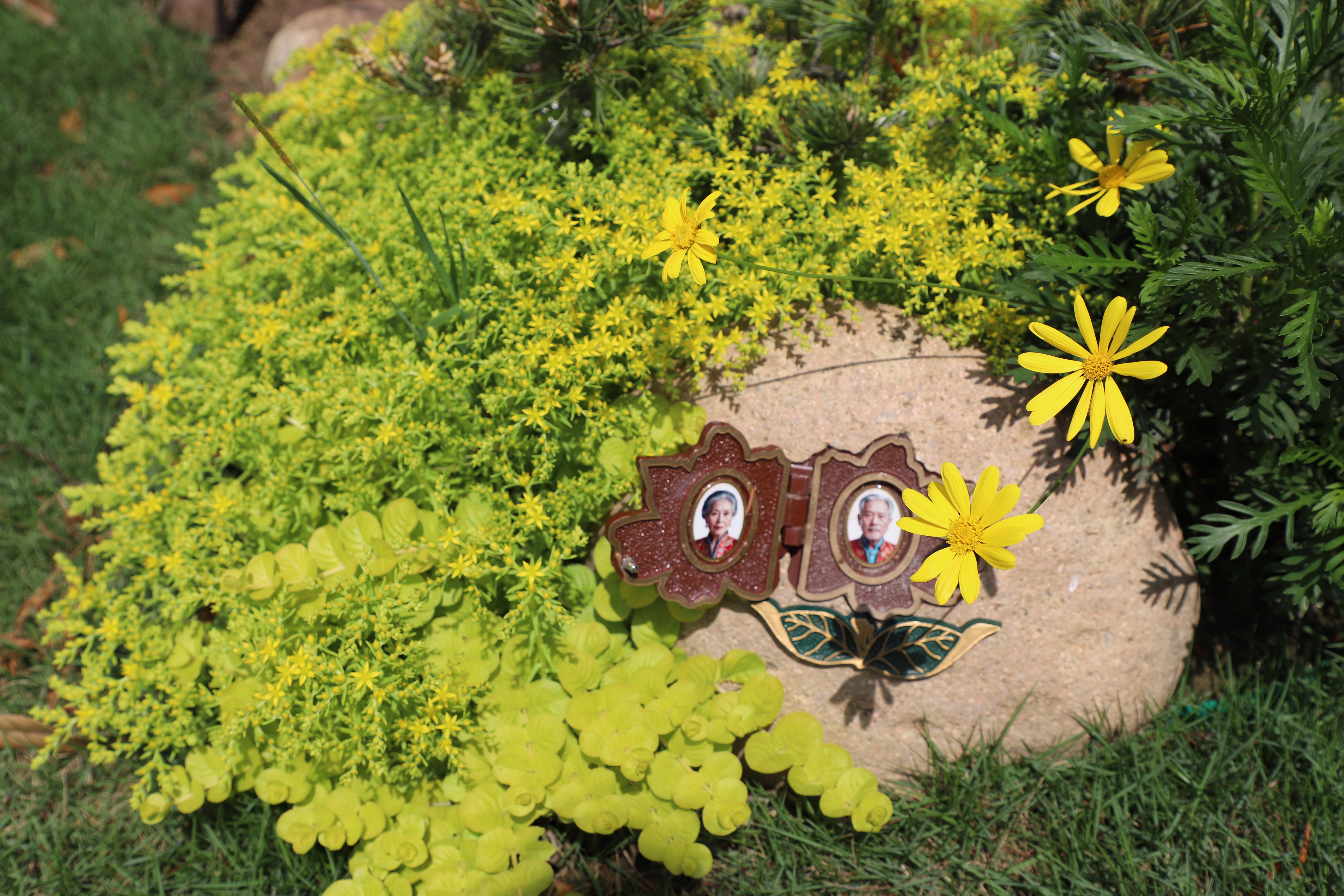 银娱优厚会717(中国)股份有限公司