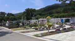 生态葬，让性命在绿意中永恒