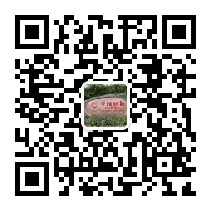 银娱优厚会717(中国)股份有限公司