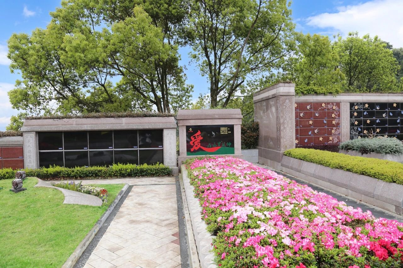 当留想，起头成长