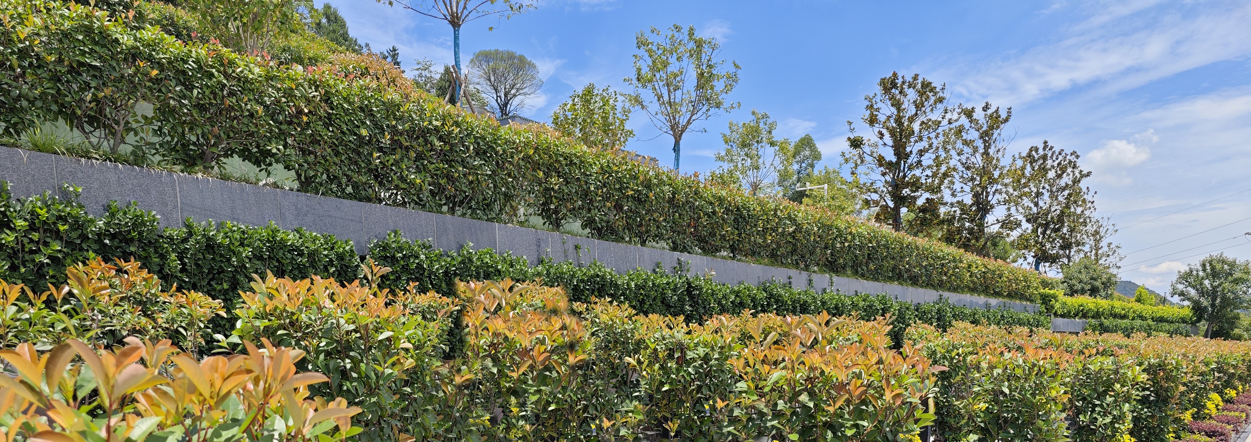 银娱优厚会717(中国)股份有限公司